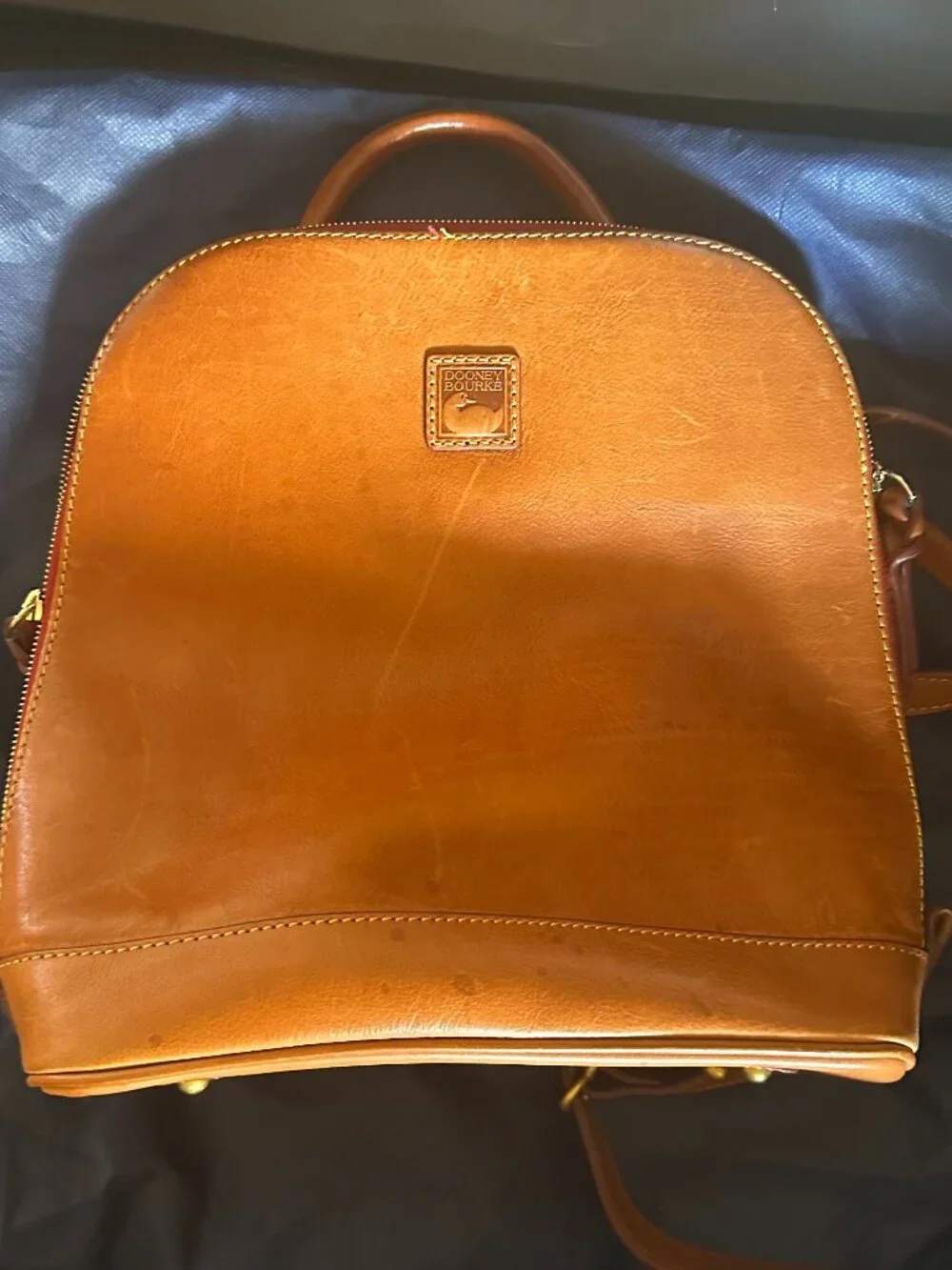 Dooney and Bourke Florentine Zip Pod Backpack